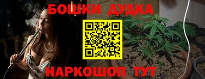 индика Лесосибирск