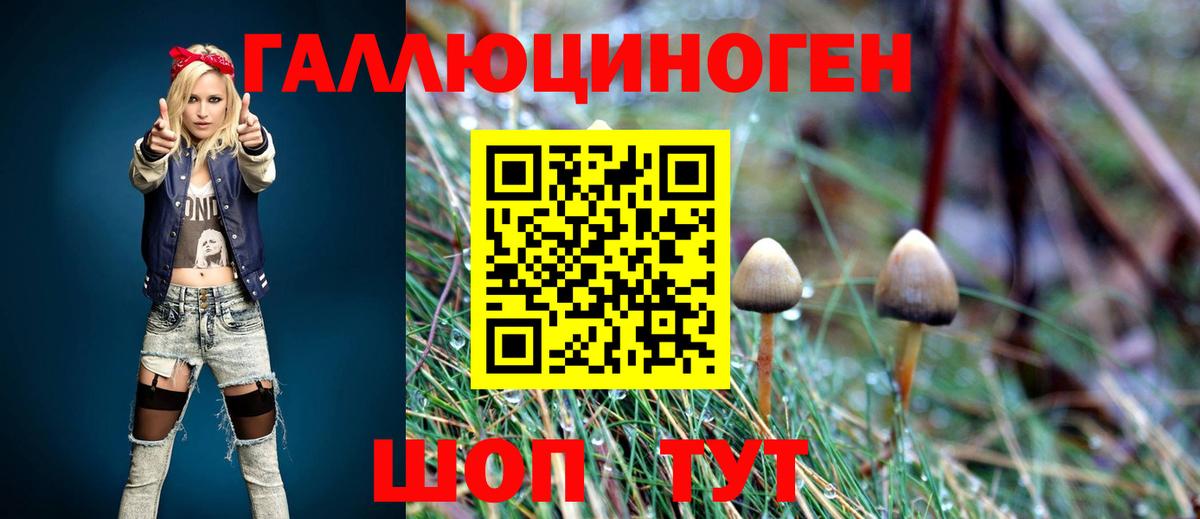 Галлюциногенные грибы мицелий  Вход с VPN  Балтийск 