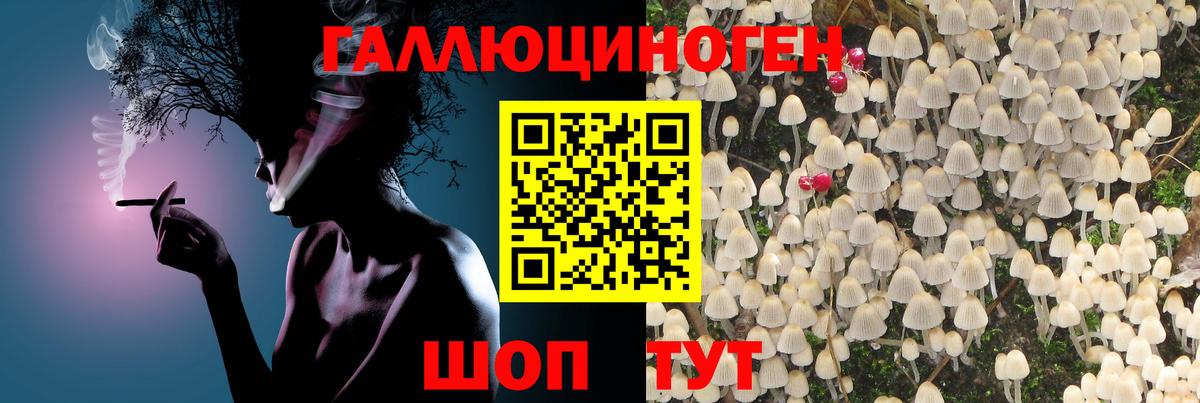 Псилоцибиновые грибы мицелий Балтийск