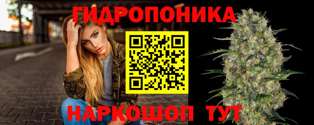 Каннабис гибрид  Вход с VPN  Балтийск  Бошки марихуана тримм 